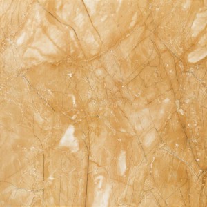 Gạch lát sàn Trường Thịnh BURGUNDY C66J13P